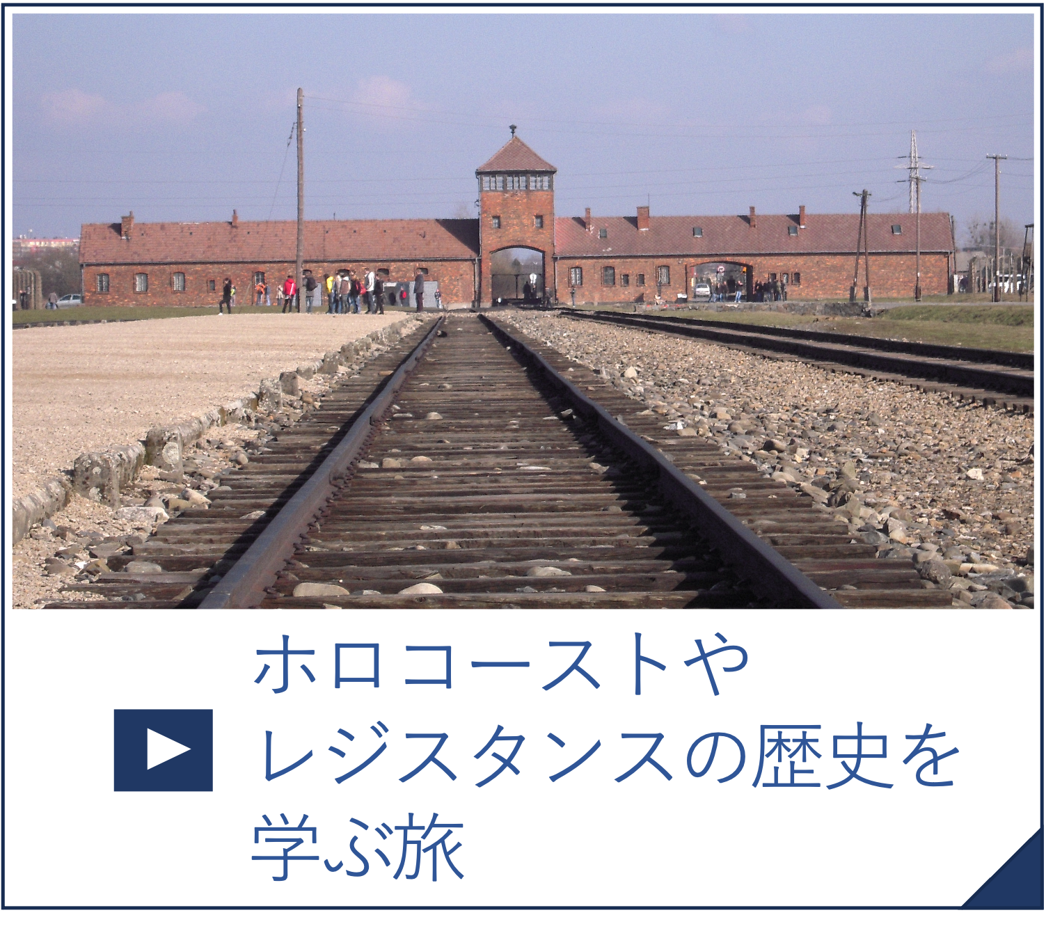 ホロコースト・レジスタンスの歴史